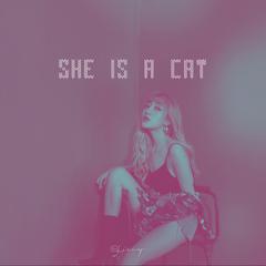 she is a cat 伴奏