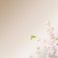 历劫成衣