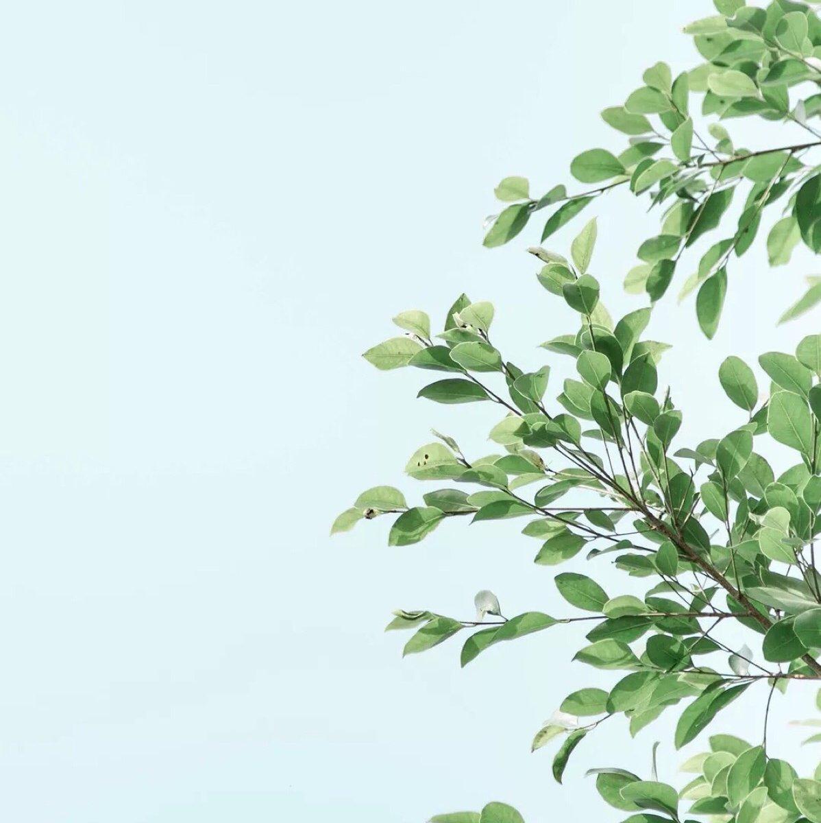 炎夏，适合榨碗凉饮，宅之