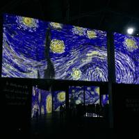不朽的梵高 艺术展背景乐