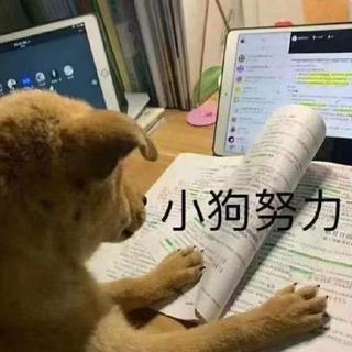 中/高考，你想要的都在向你走来
