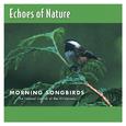 Morning Songbirds