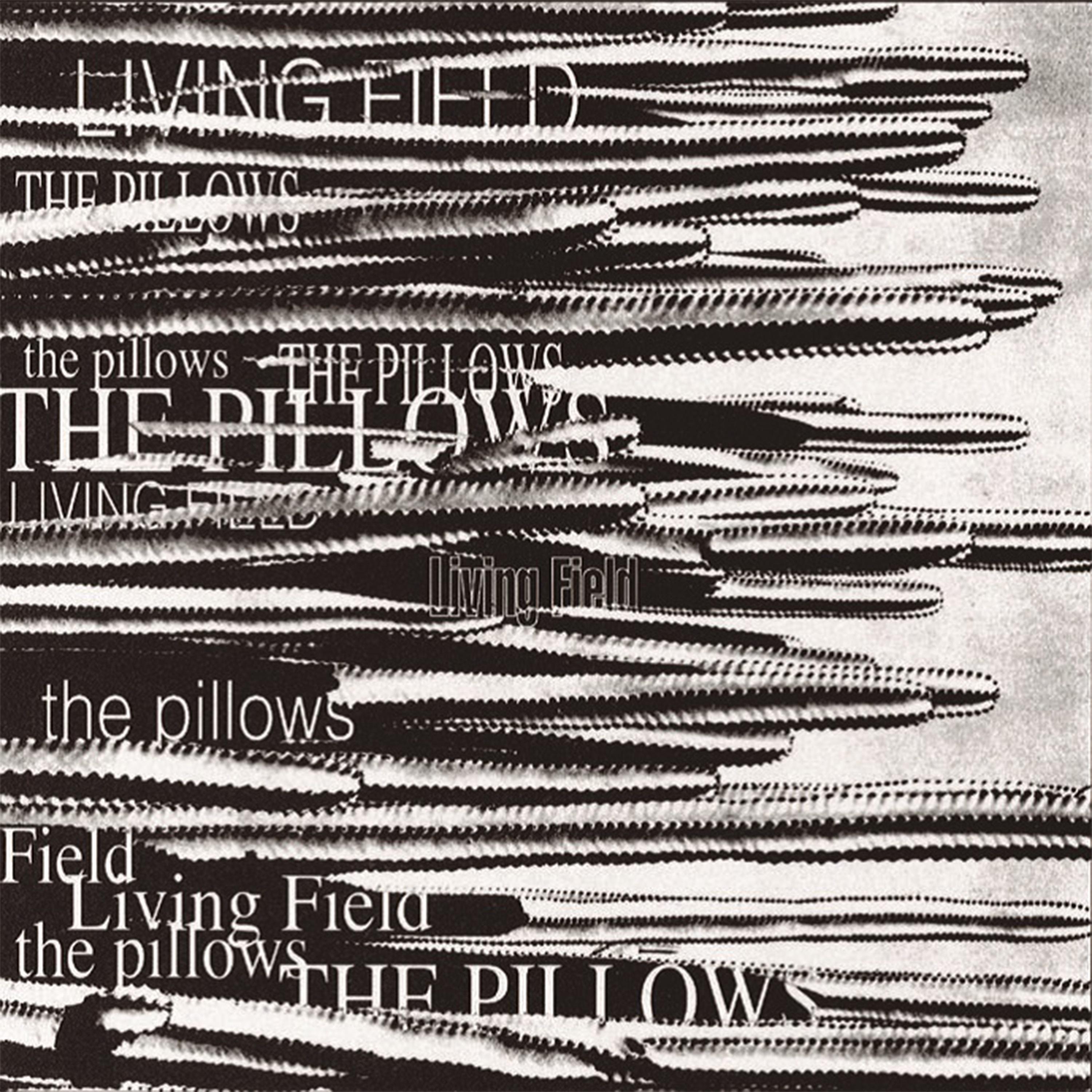 LIVING FIELD