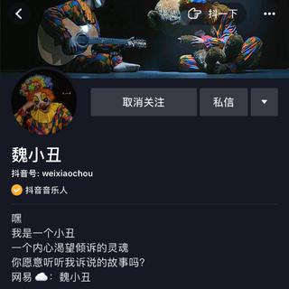 魏小丑 抖音翻唱歌单