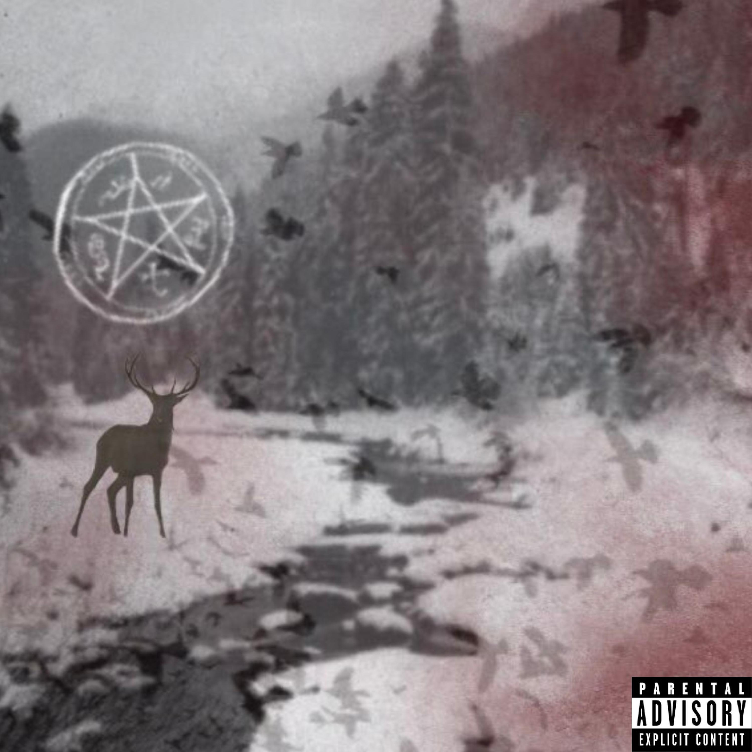 Never Be Enough (feat. disoc8) (SPED UP)