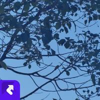 龚玉坤 - 影子里的光(live)