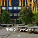 干物女 (WeiWei)