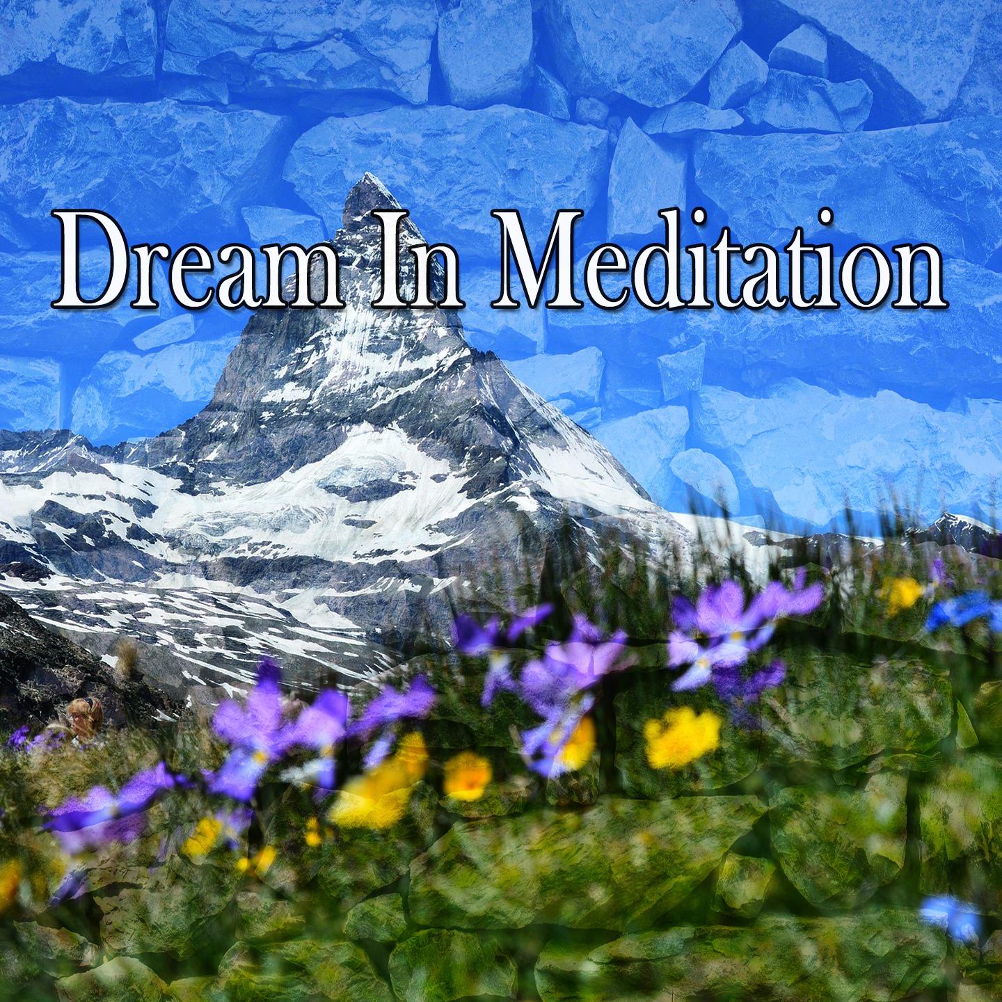 Dream In Meditation专辑