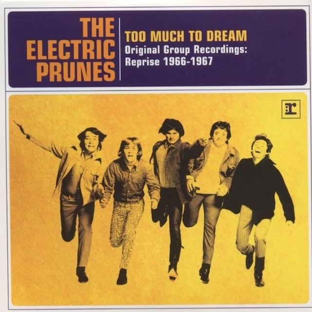 Too Much To Dream: Original Group Recordings : Reprise 1966-1967