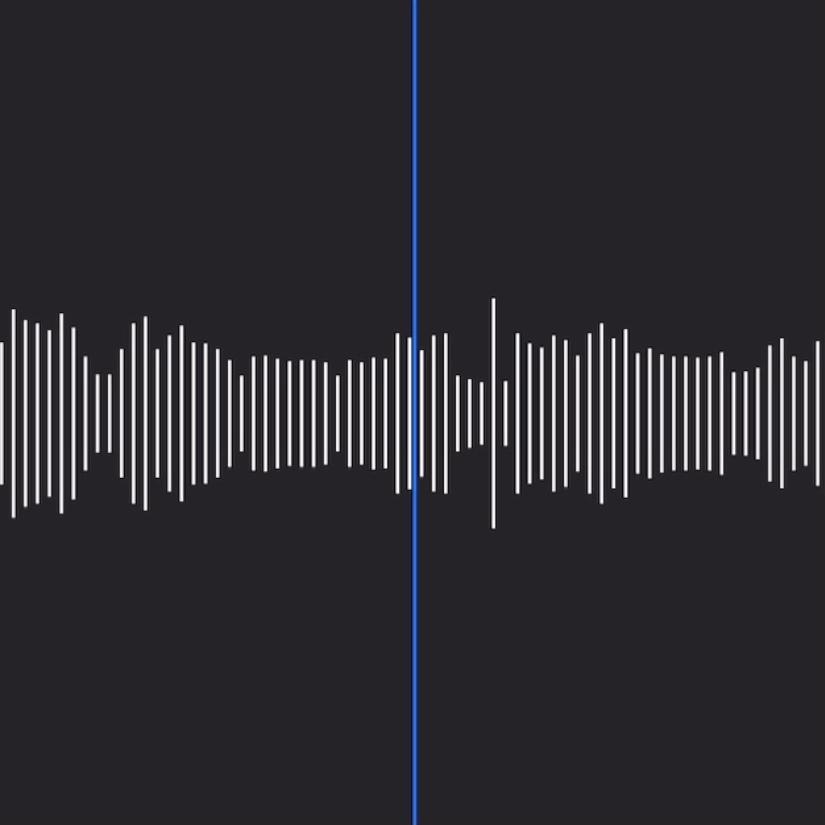 瓶与抛光者（翻自 廖俊涛）