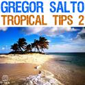 Gregor Salto - Tropical Tips 2专辑