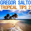 Gregor Salto - Tropical Tips 2专辑