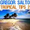 Gregor Salto - Tropical Tips 2专辑