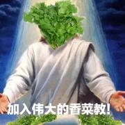 喜欢的歌