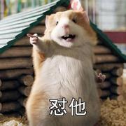 怼