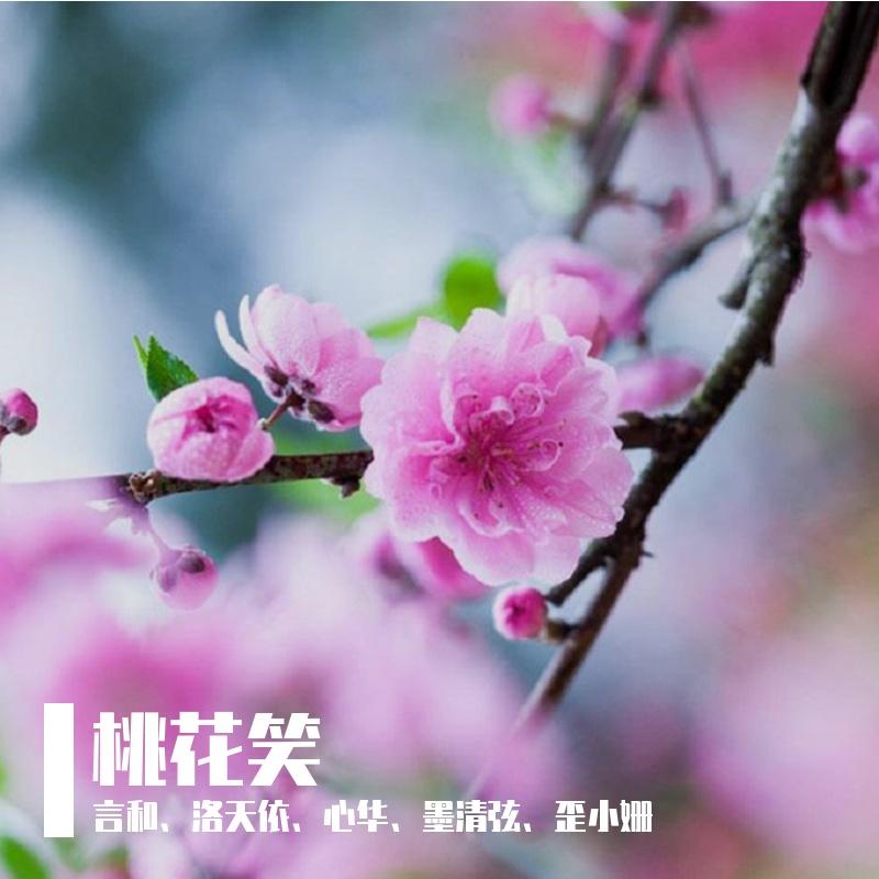 桃花笑