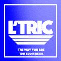 The Way You Are (Tom Budin Remix)