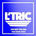 The Way You Are (Tom Budin Remix)专辑