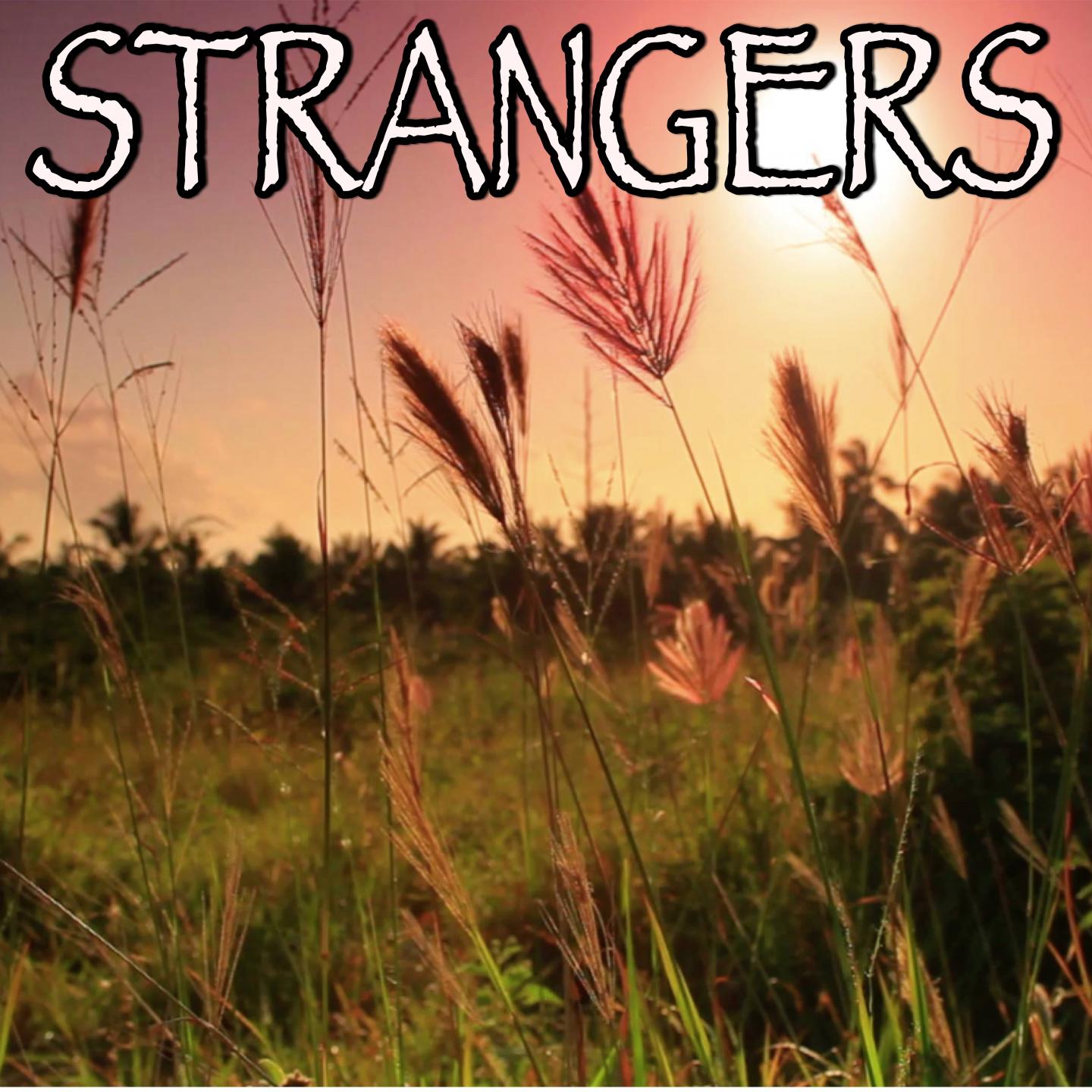 Strangers - Tribute to Sigrid专辑