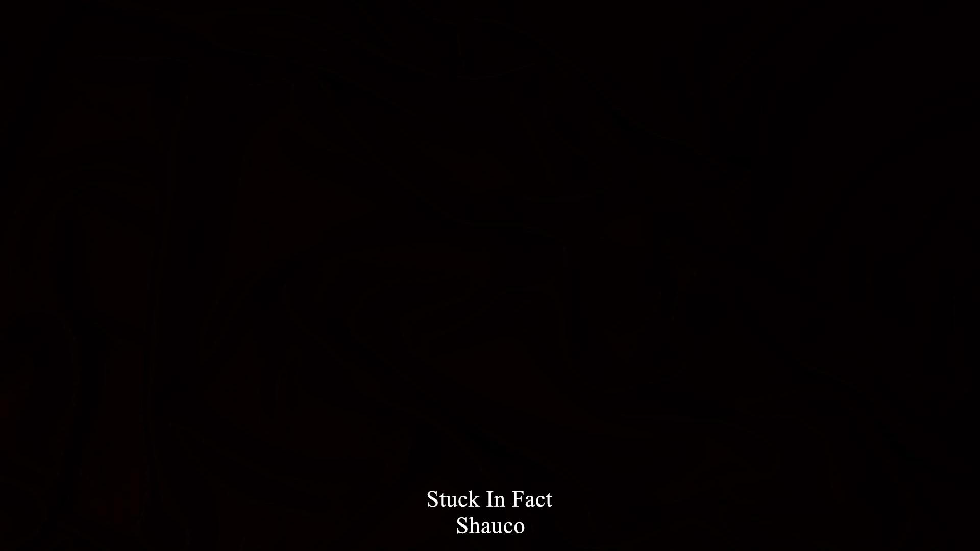 Stuck In Fact专辑