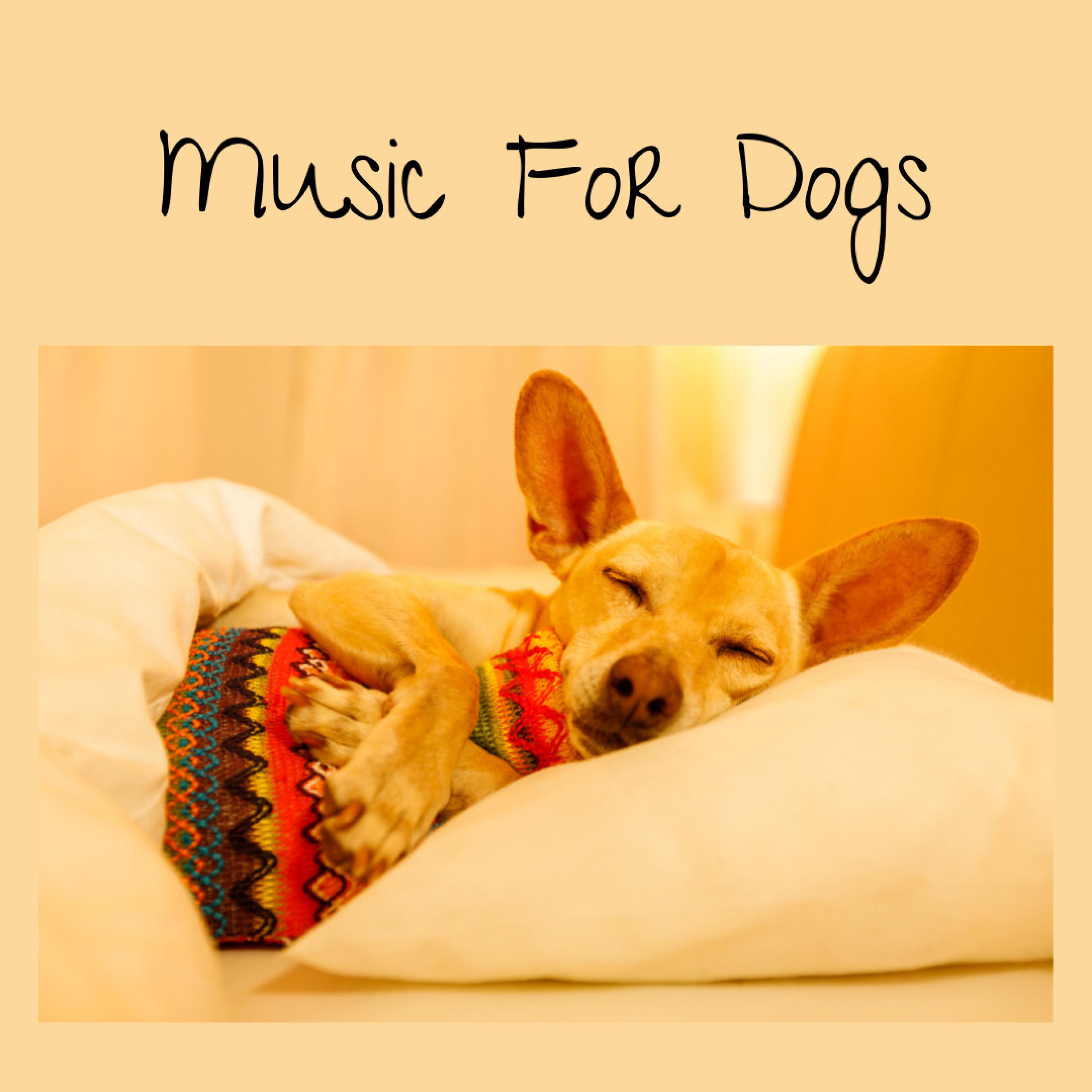 Puppy Love - Music For Dogs/Music For Dogs Peace/Relaxing Puppy Music ...