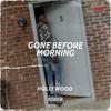 HQLLYWOOD - Gone Before Morning