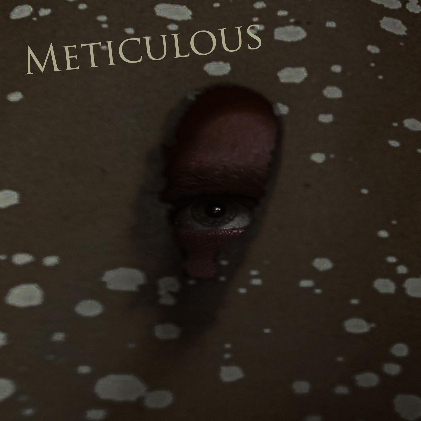 Meticolous