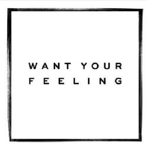 Jessie Ware - Want Your Feeling (Official Instrumental) 原版无和声伴奏 （升7半音）