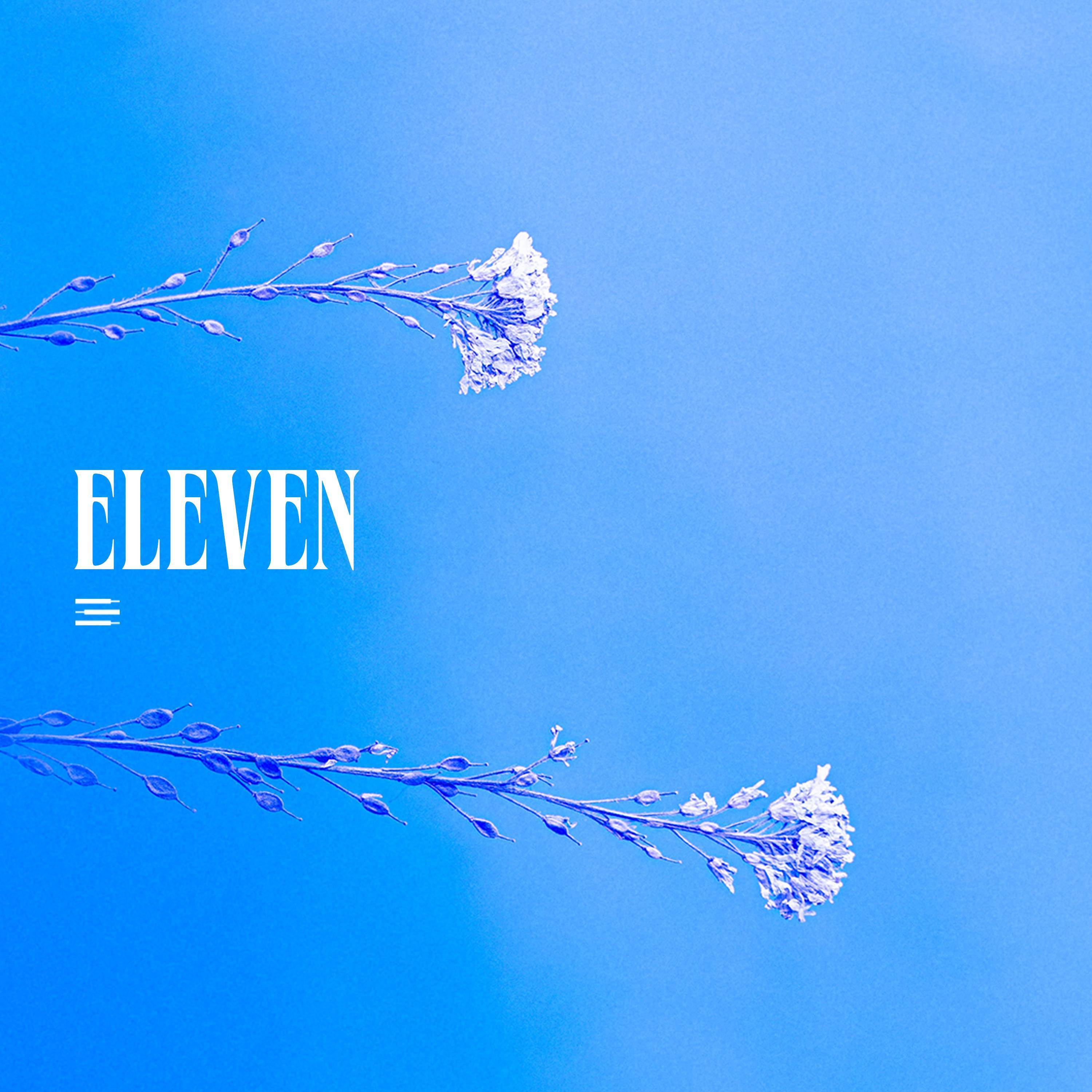 ELEVEN