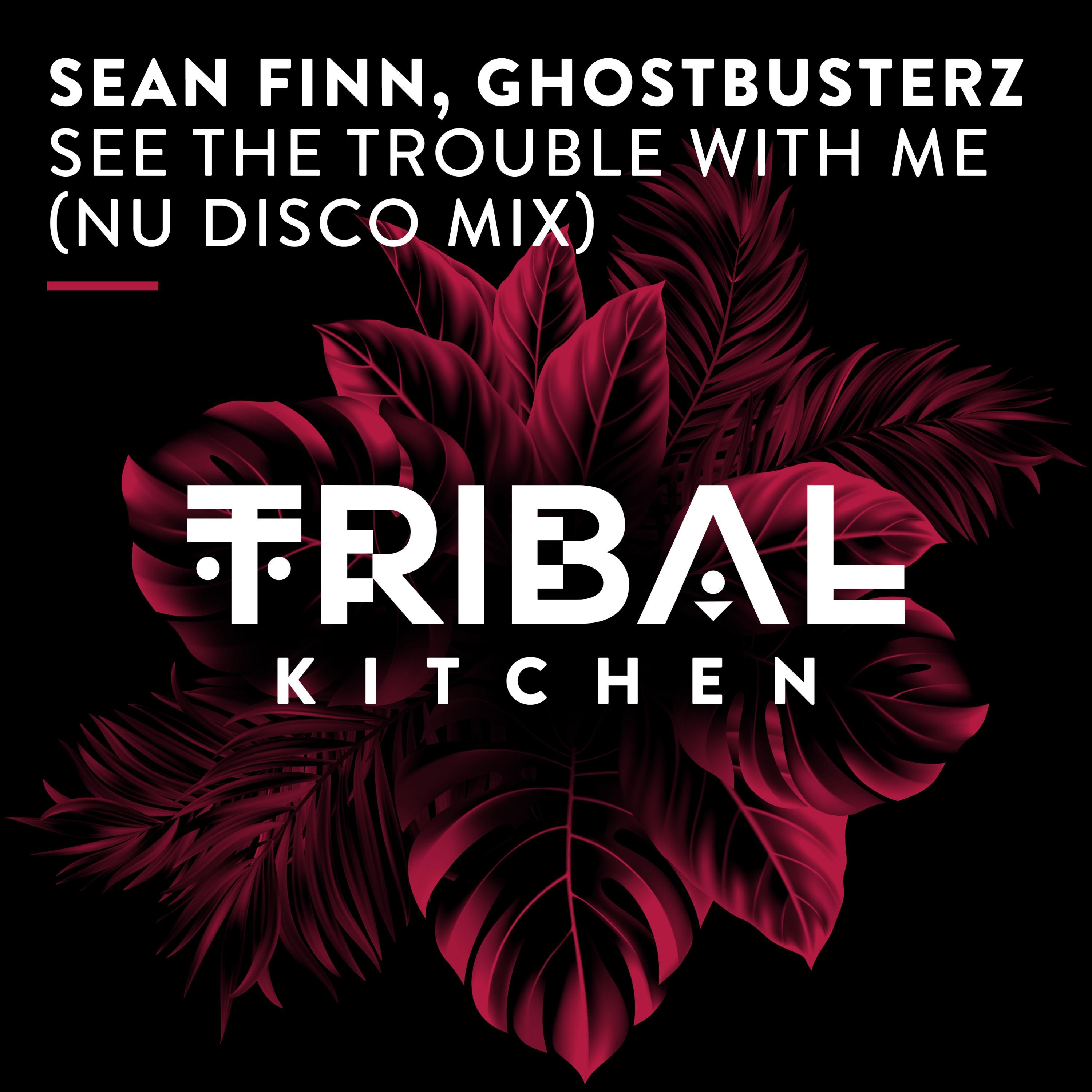 See the Trouble with Me (Nu Disco Mix)