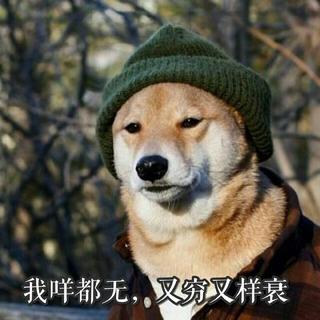 沈以诚 焦迈奇 徐秉龙