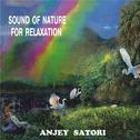 Sound of Nature for Relaxation专辑
