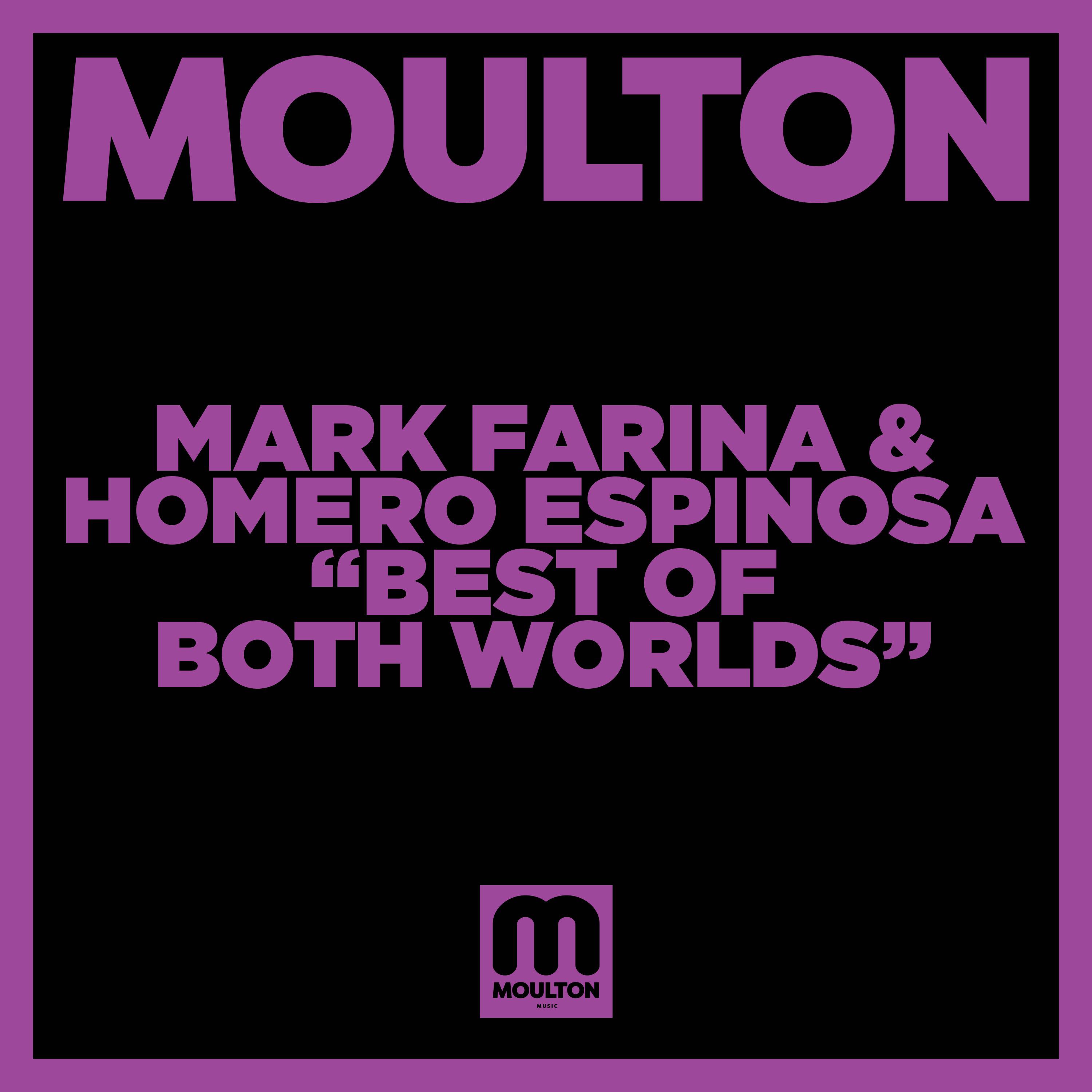 Mark Farina - Best Of Both Worlds