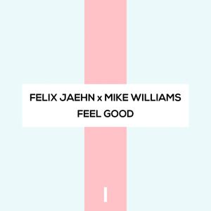 Felix Jaehn x Mike Williams - Feel Good (Instrumental) 无和声伴奏 （降1半音）