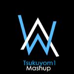 Sing Me to Faded(Mashup By Tsukuyom1)专辑