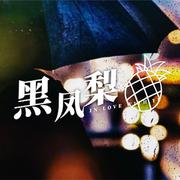 黑凤梨
