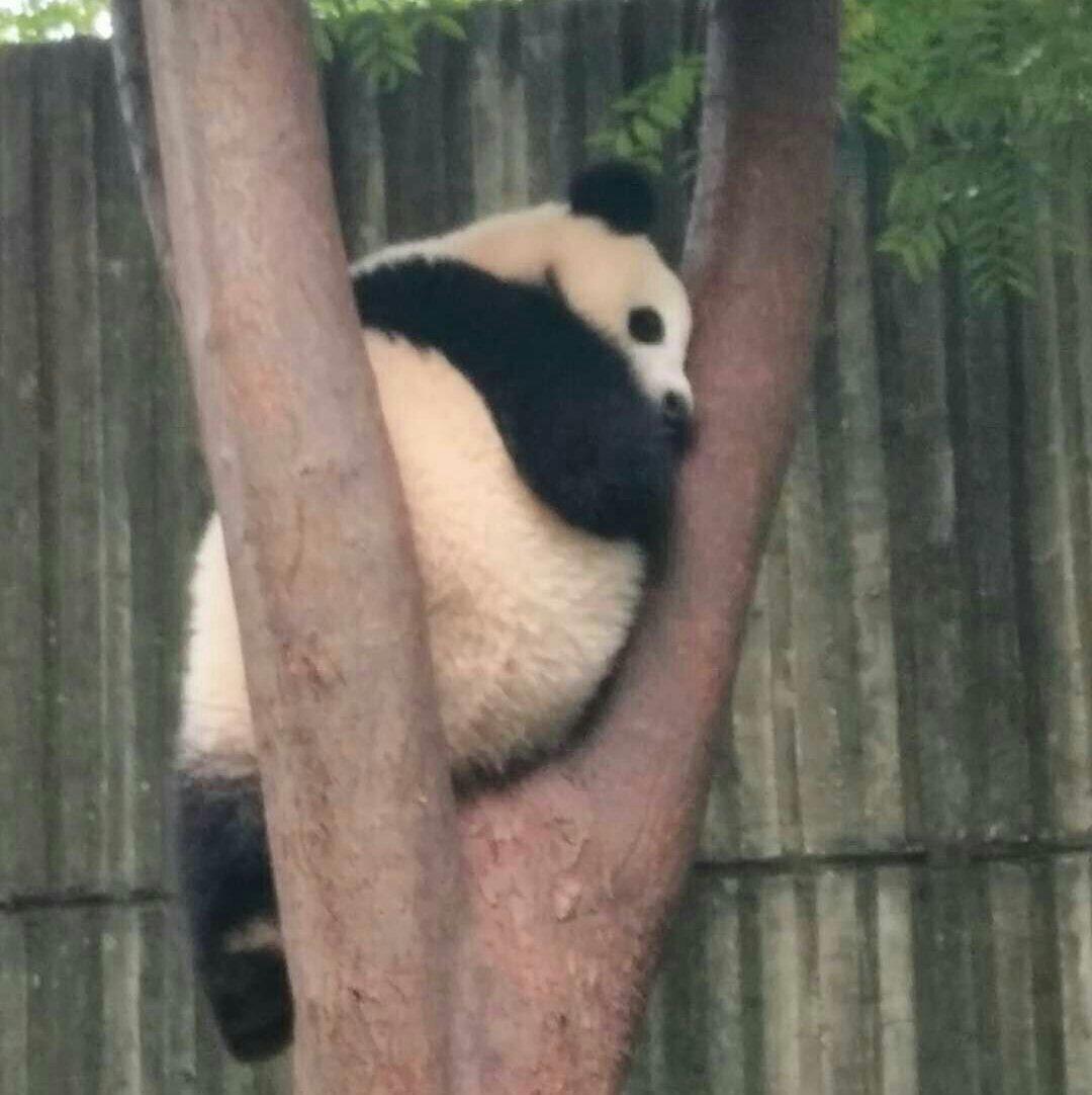 快节奏的欢乐纯音乐
