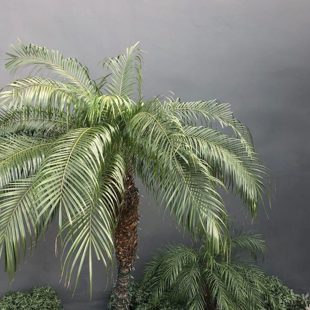 Knoxx-Sensation（HEYICHEN remix）