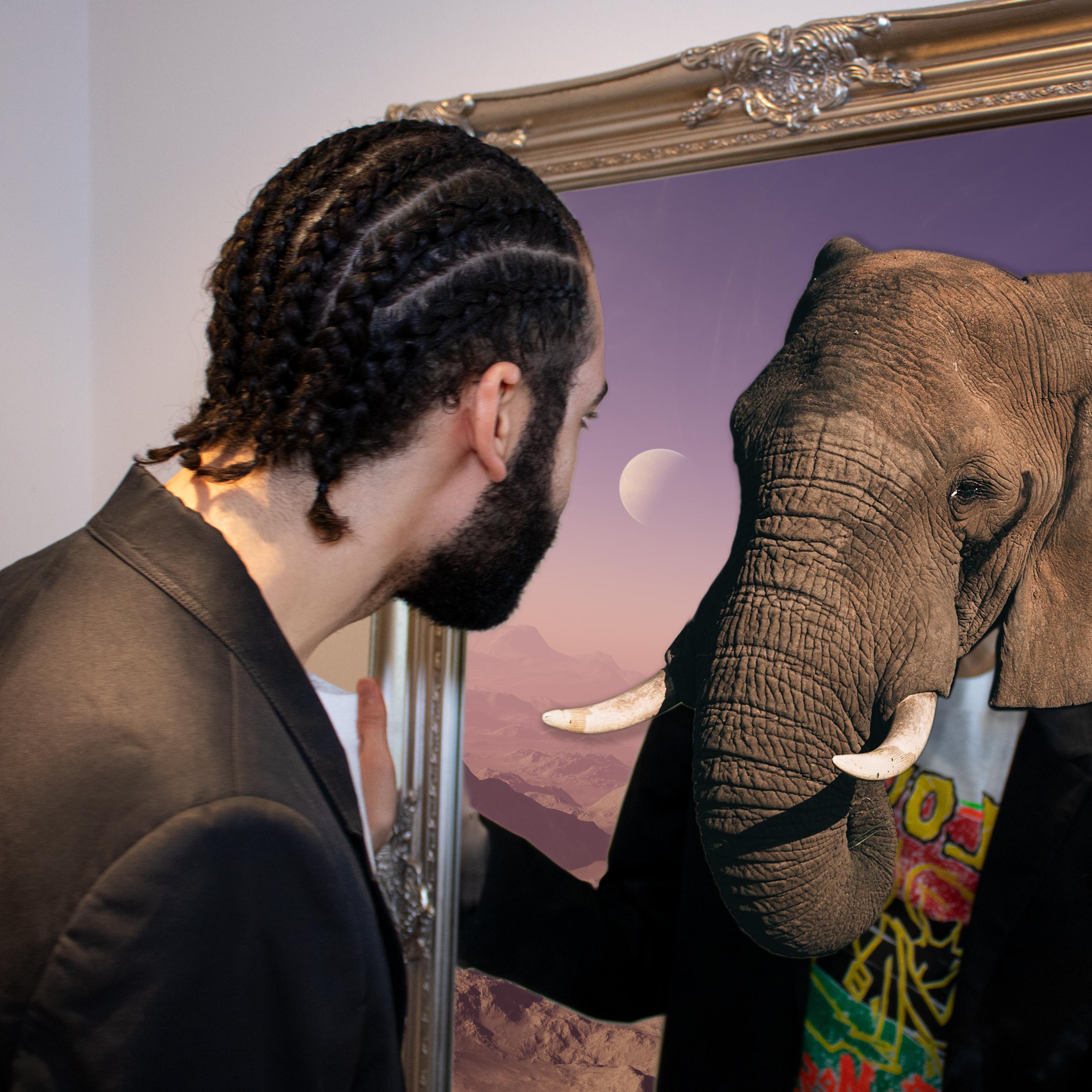 Relephant