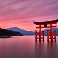 The Sound of Torii