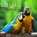 Bird Sound Effects, Vol. 1专辑