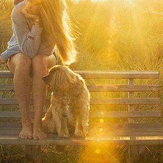 轻唱情歌，不备饶舌