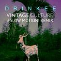 Drinkee (Vintage Culture & Slow Motion! Remix)专辑