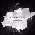 Without You (Tiger Feng Remix)专辑