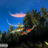 Stoner Rap