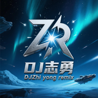 DJ志勇-W.T同号 DJZY321