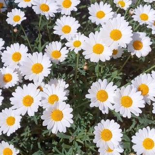 前面风景很好 我的意思是别回头