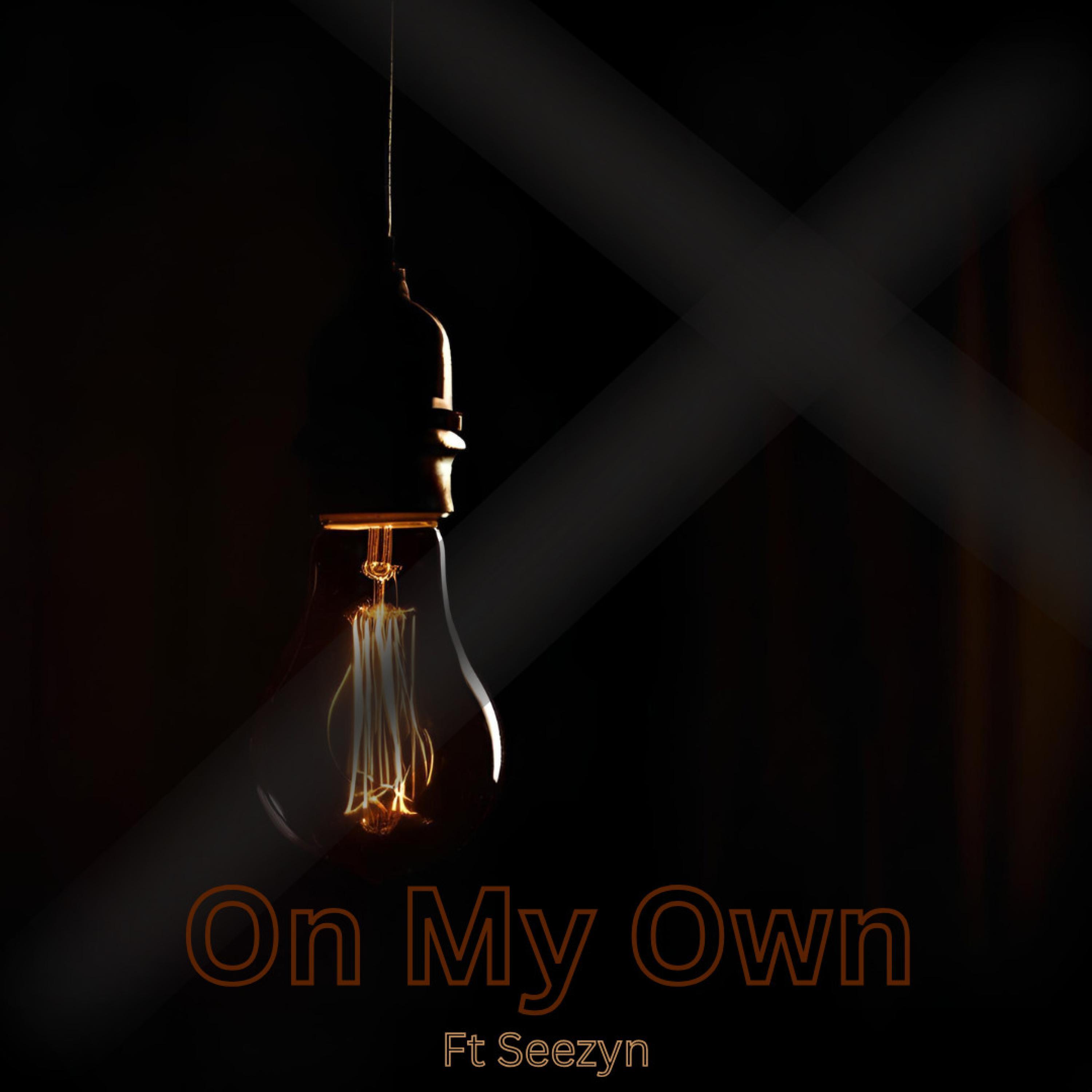 On My Own (feat. Seezyn)