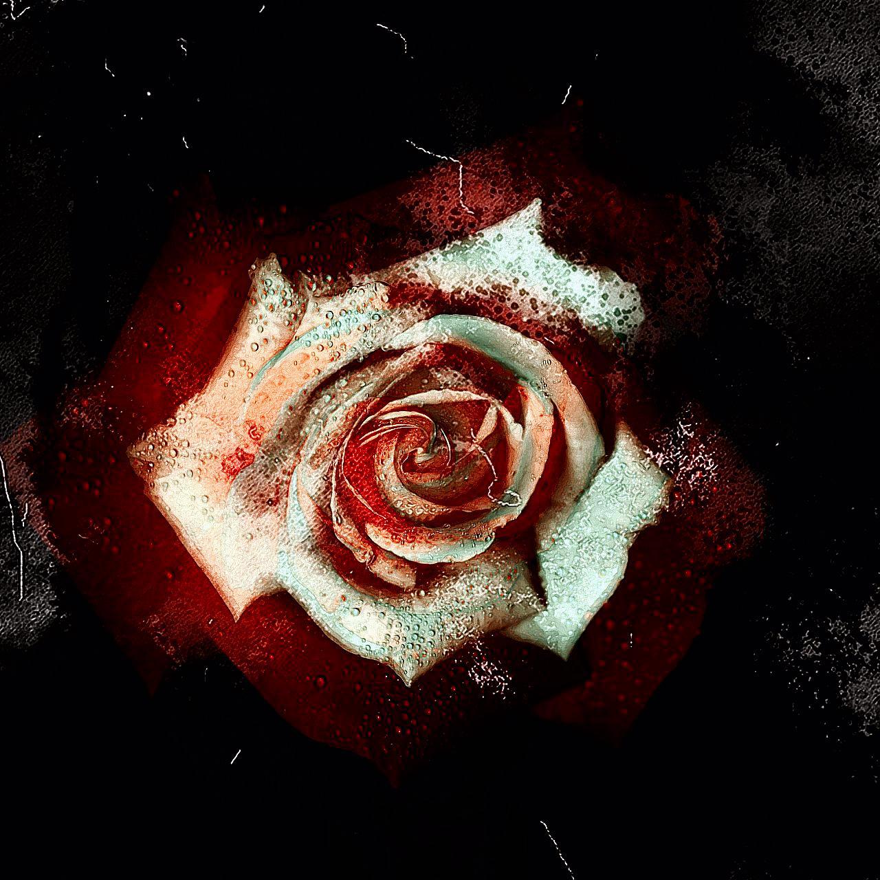 Battlefield Flower