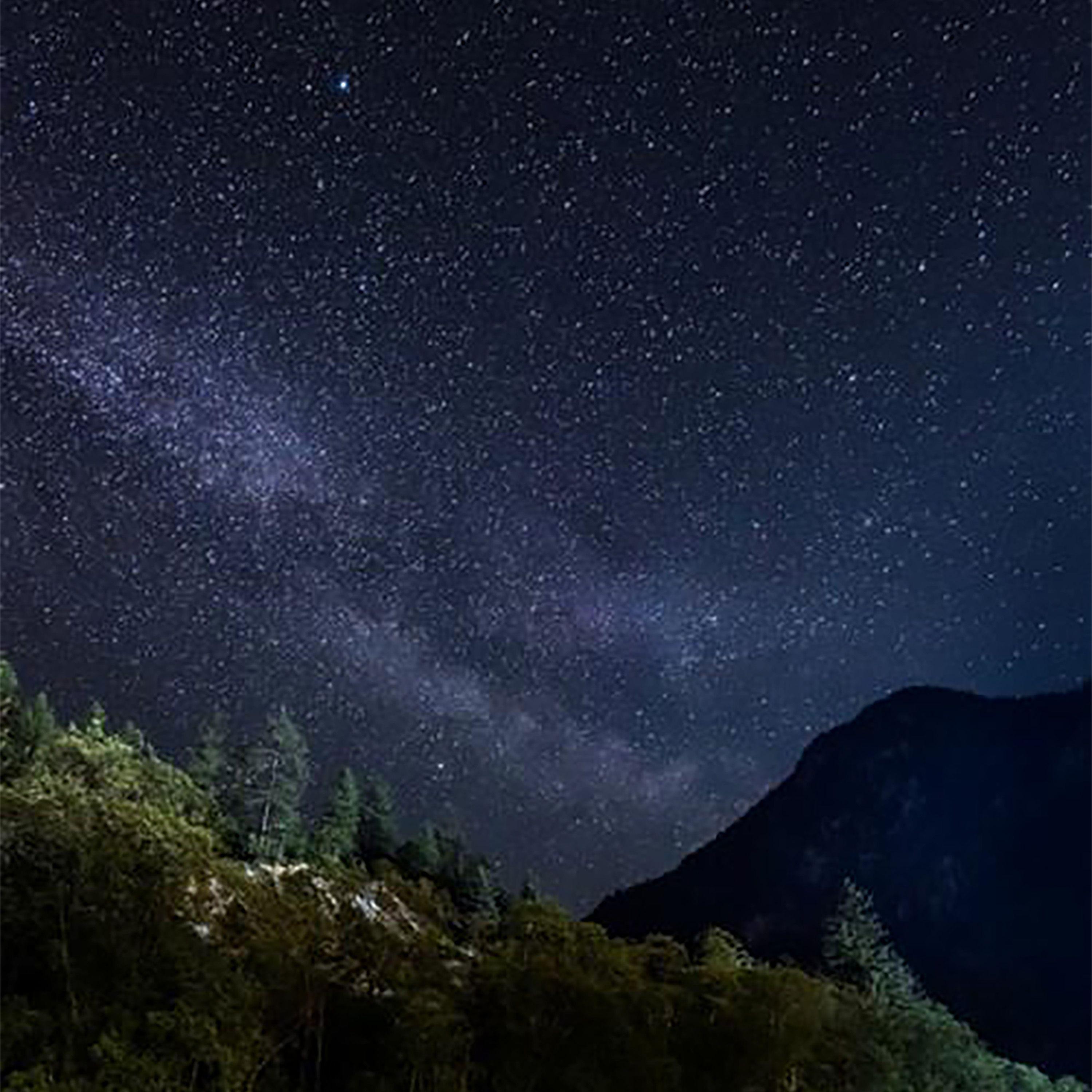 虫鸣助眠 哄睡轻音乐